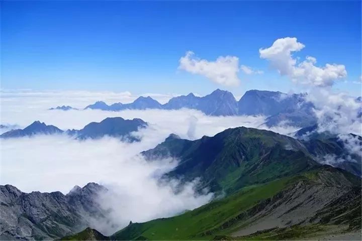 九顶山就像是一座云雾山,其独特的风光是将草地,雪山,原始森林等自然
