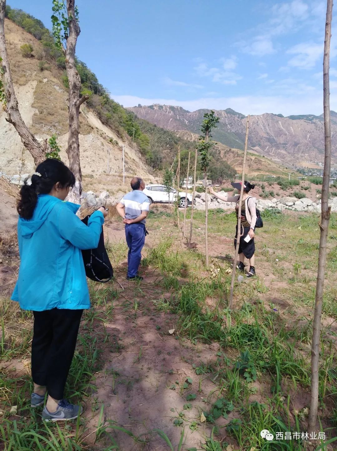 西昌市种苗站组织技术人员到月华乡查看引种实验地