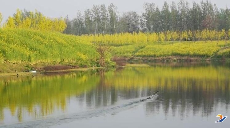 周口市再添一国家级湿地公园