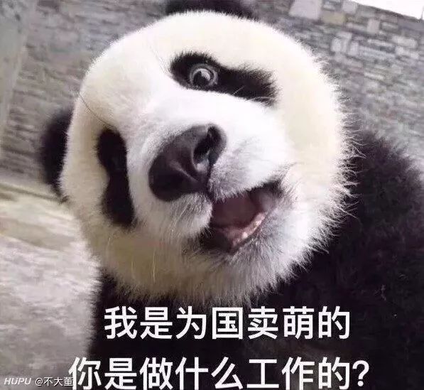 62cc2556d6ce4adaa7fcb9ad635882dc.jpeg