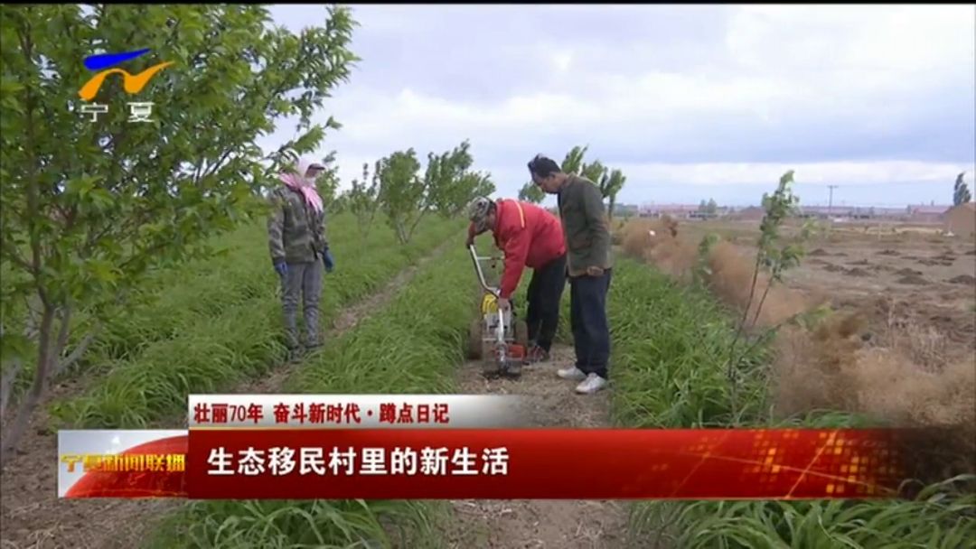 壮丽70年 奋斗新时代丨生态移民村里的新生活 现金真钱捕鱼棋牌游戏