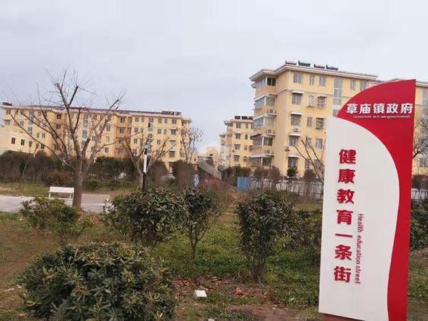 2020年江苏盐城大丰g_江苏盐城大丰荷兰花海(2)