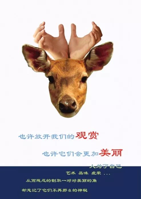 文章配图-37