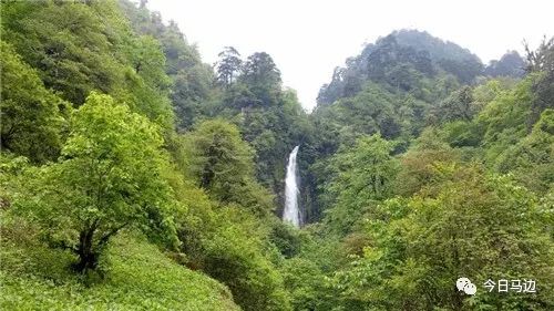 这里就是—三河口乡金家沟落叶翻飞于天地间犹如进入童话仙境近旁是