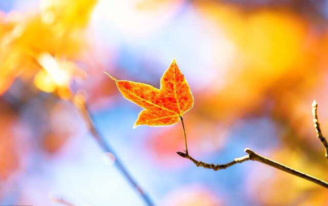 怎样才能长久相爱 749f6e93065b469f9a615a96b708234c.jpeg