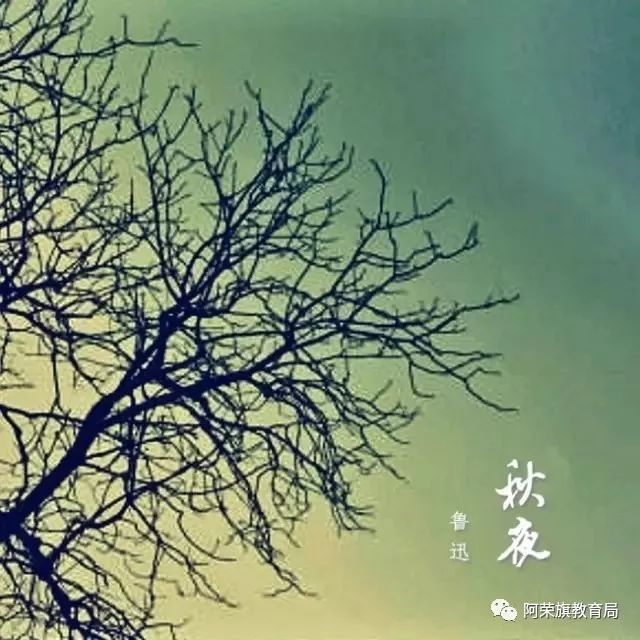 【读书天地】《秋夜》——鲁迅