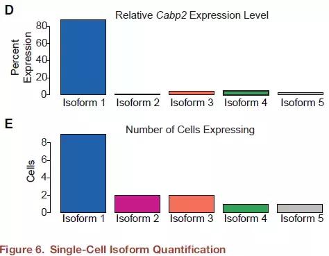 什么是单细胞生物定义 7e56b473f73c48f88a51a47da8bf7d09.jpeg