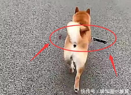 8a5ae5e896624a219fd14e0de6b23433.jpeg