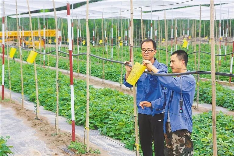 静宁多少人口_静宁苹果图片(3)