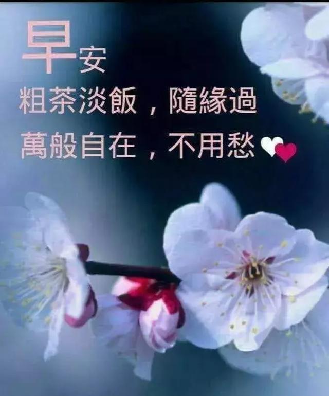 5月24日周五治愈系早安祝福语表情表情图片