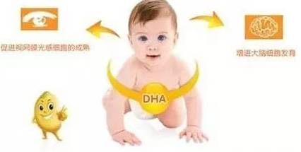 DHA什么时候补充最好?怎样补充最有效? 澳门澳博集团app