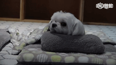 9fff781bb9ca45459ca68377cec9d68b.gif