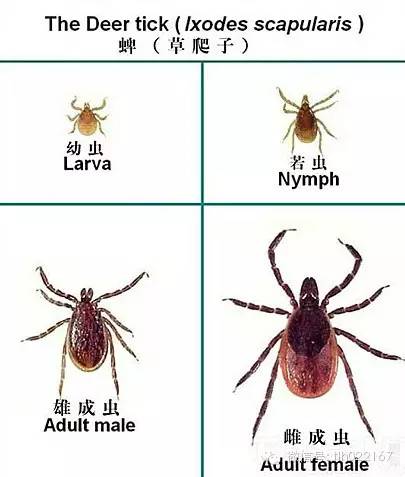 a124d7e3edd24d27b5ac6b2109e97dc5.jpeg