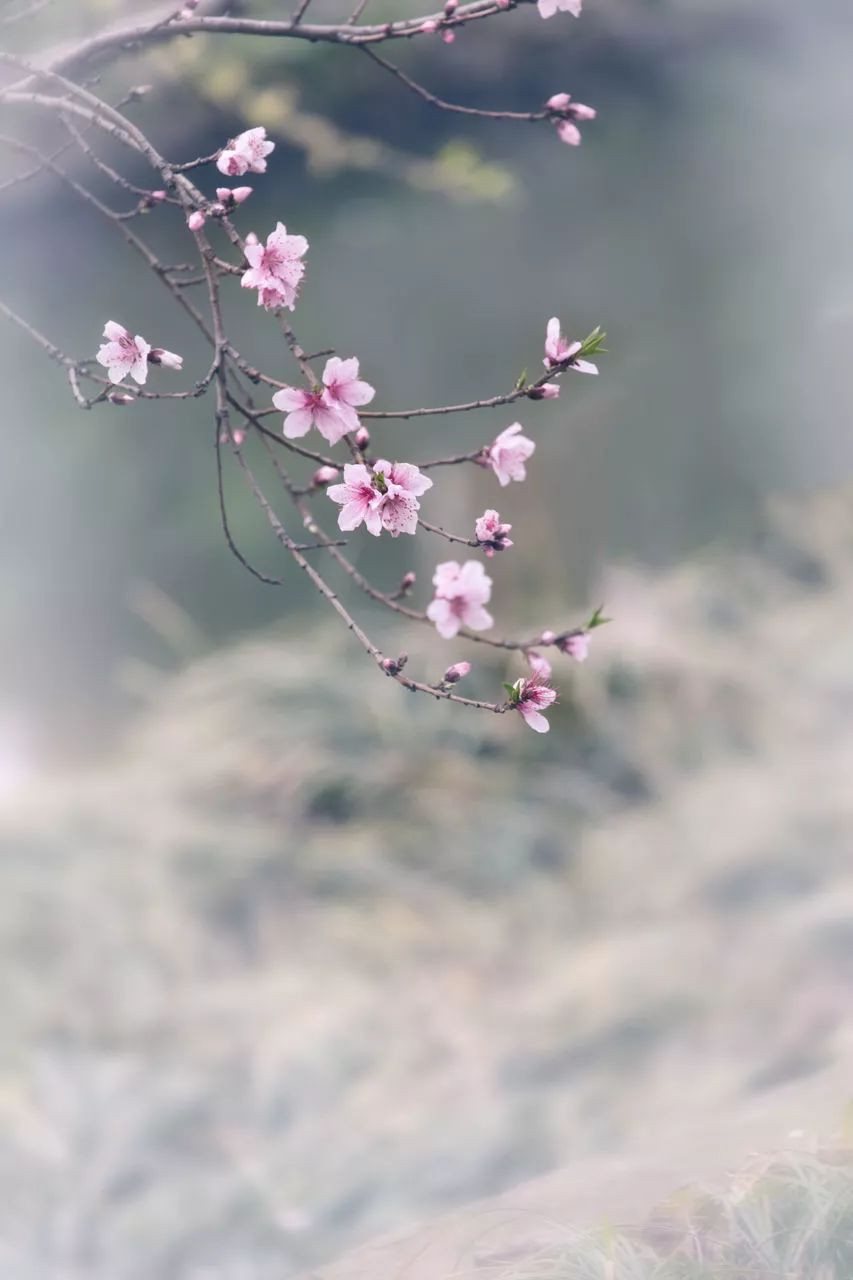 a3c1058f18c1465c95d3f719ee4fa0d6.jpeg