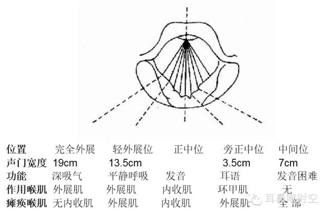 留言解读声带麻痹