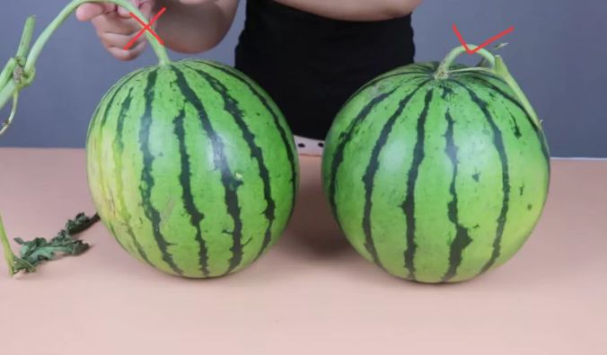 ϵĵײиСԲȦ˵Ķһ,ԽСϾƤζ.