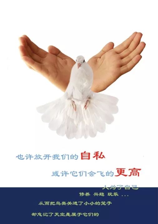 文章配图-38