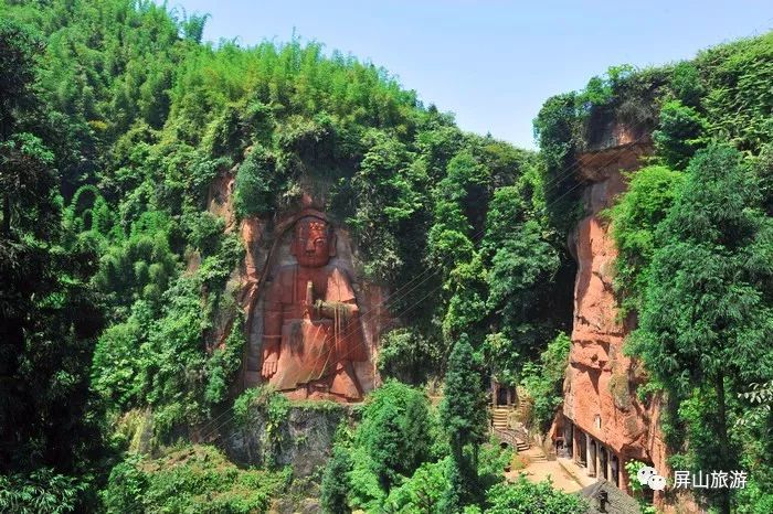 宜宾游乐购|屏山,四川山鹧鸪的故乡