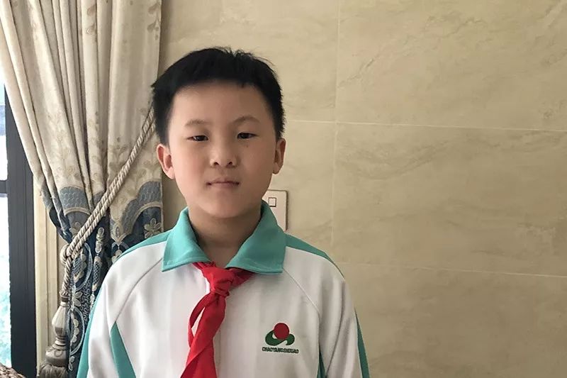 婆婆丁学名 ac1a7ea7401b4c9d90e83eb9c365c70d.jpeg