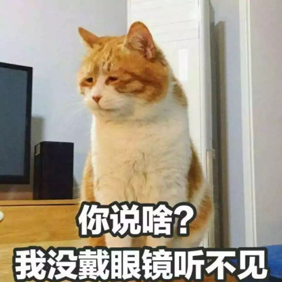afa28e17e56a43c99f97a508f065b0b4.jpeg