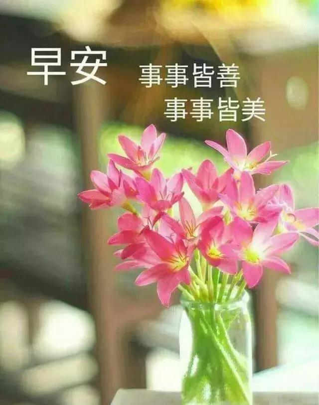 5月24日周五治愈系早安祝福语表情表情图片