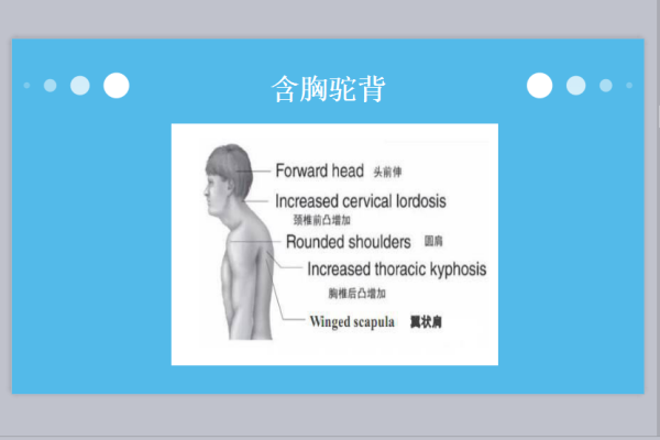 b80aab7145b14152ac31cc3322527e37.png