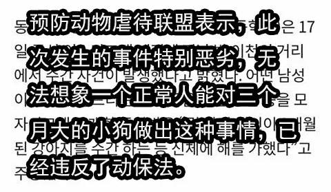 原創
            三個月大幼犬被最醉酒男子性侵：都怪你長得太可愛了！ 未分類 第4張