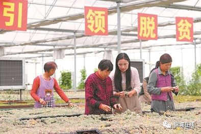 耿车镇人口_耿车镇(2)