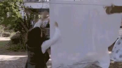 c83f6a0f2ef345ddb97dafdd0ebaef6c.gif