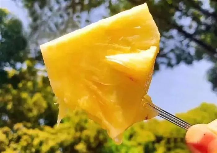 Ͻ,ڲ,֭,