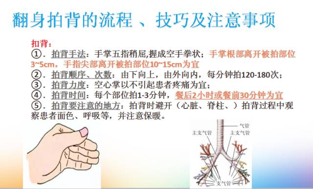 如何有效协助患者翻身叩背及有效咳嗽?