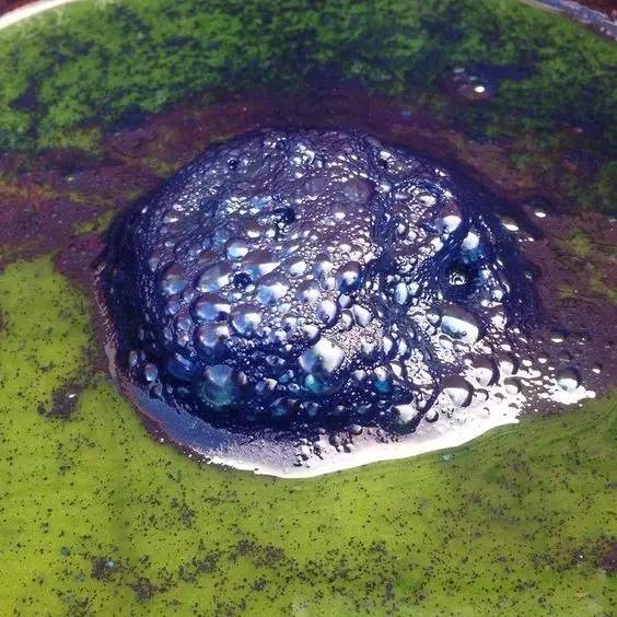 蓝色的水是什么原因导致的 d6cd886ced7a4dc2b308b85b1b9f6a07.jpeg