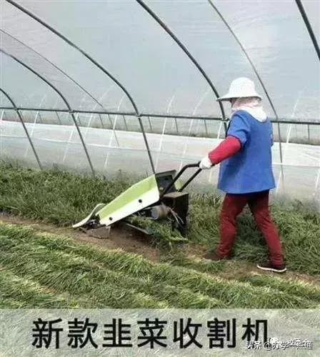 e1ab27dd7c604dc18d12638be96bacfd.jpeg