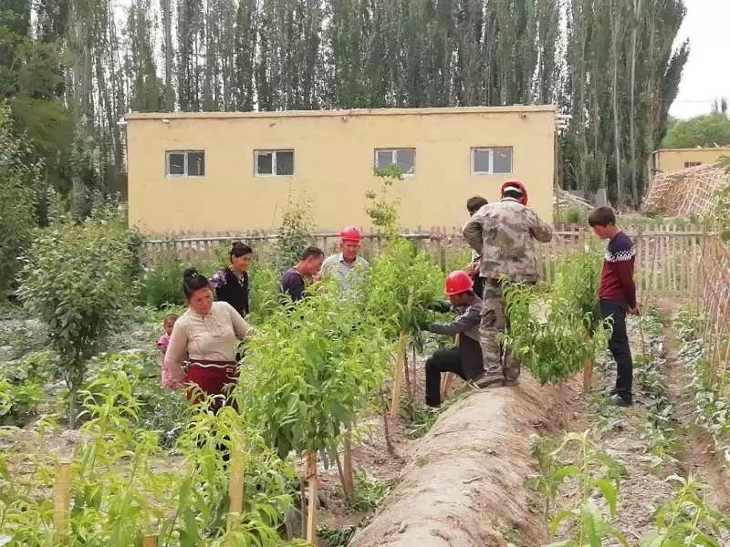 美丽环境建设岳普湖城乡面貌大变样