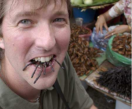 蜘蛛人民币猜成语_看图猜成语(3)