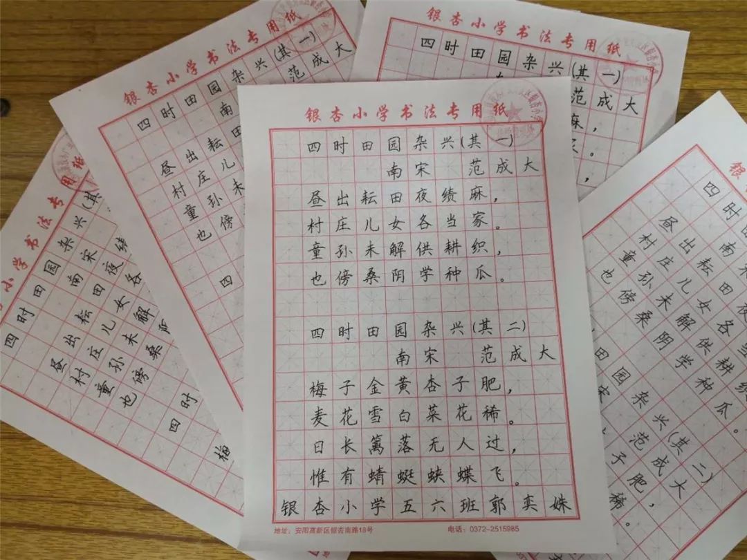 传承文化经典 弘扬汉字风采——银杏小学硬笔书法现场