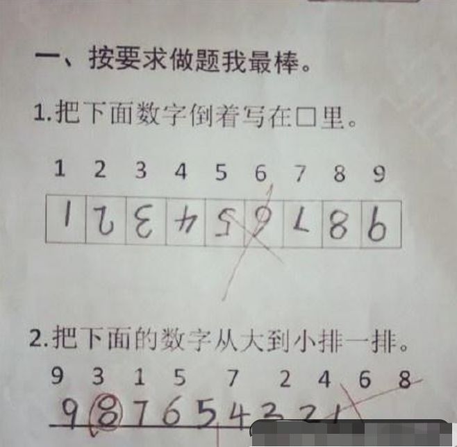 f4473cc5f11d4bcebb0121629cbffd13.jpeg