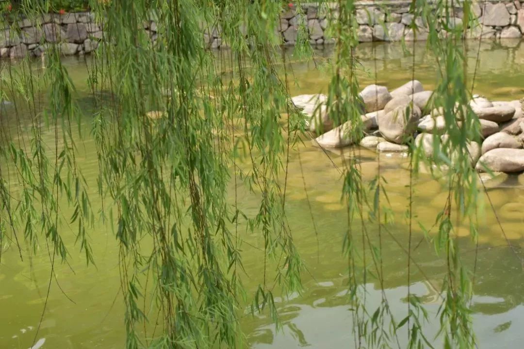 黄冈人口出行_黄冈师范学院(3)