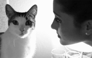 fcdbdfcf45c248ff8c49dfb771c00f96.gif