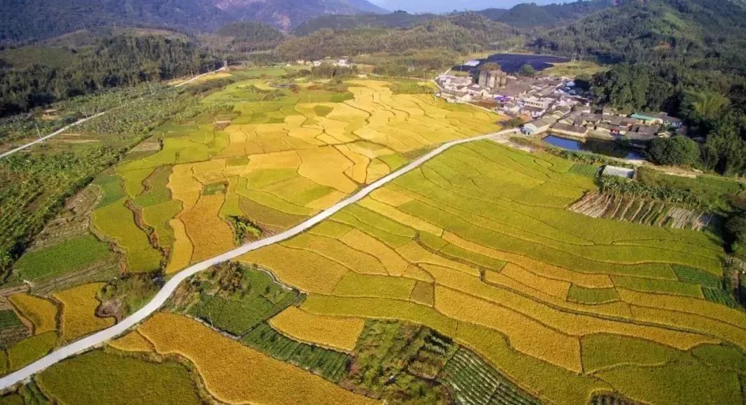 深圳周边这3家新晋网红民宿,才是生活最自然的模样