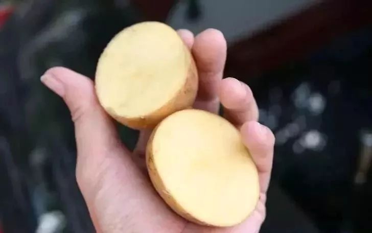 土豆加什么擦裤子 0b17a5e0a9374161bc324bdc5209be3d.jpeg