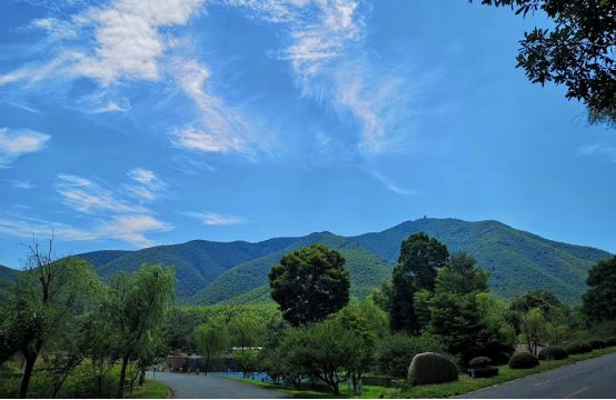 快乐童年 魅力端午 | 宜兴竹海期待着您的全家“粽”动员 og东方馆注册