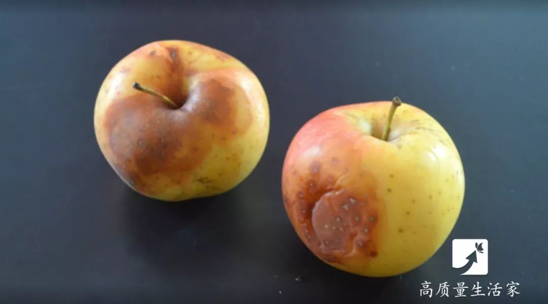 坏掉的苹果千万不要扔掉,全身都是宝,可惜好多人都直接扔掉了