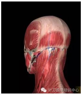 头一直晕晕的怎么处理 24c0dd78497448848dba18d9f9116d60.jpeg