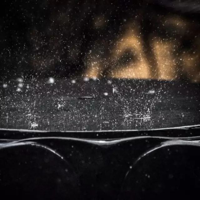 拍照如何拍出光斑 266029b8f33d4bb58af604880b1b2514.jpeg