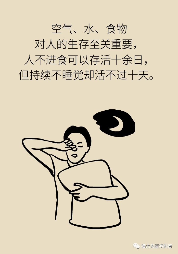 2e212d68f08843f8a7a3931913918954.jpeg