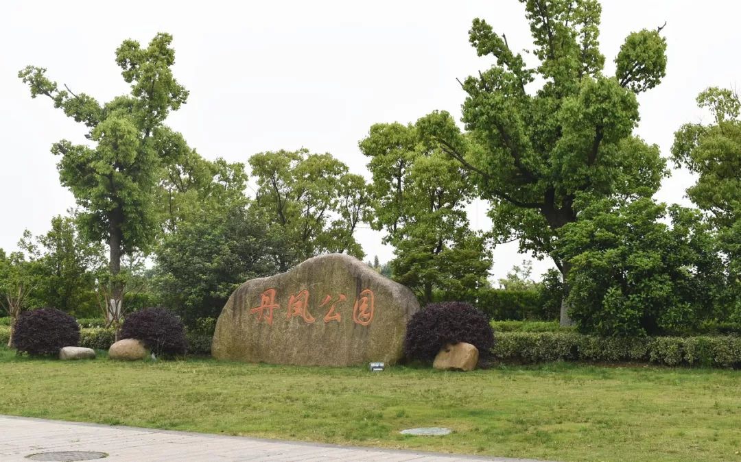 一下子就飙至34℃ 白天的丹阳已经不适合外出 丹凤公园也没有了春天的