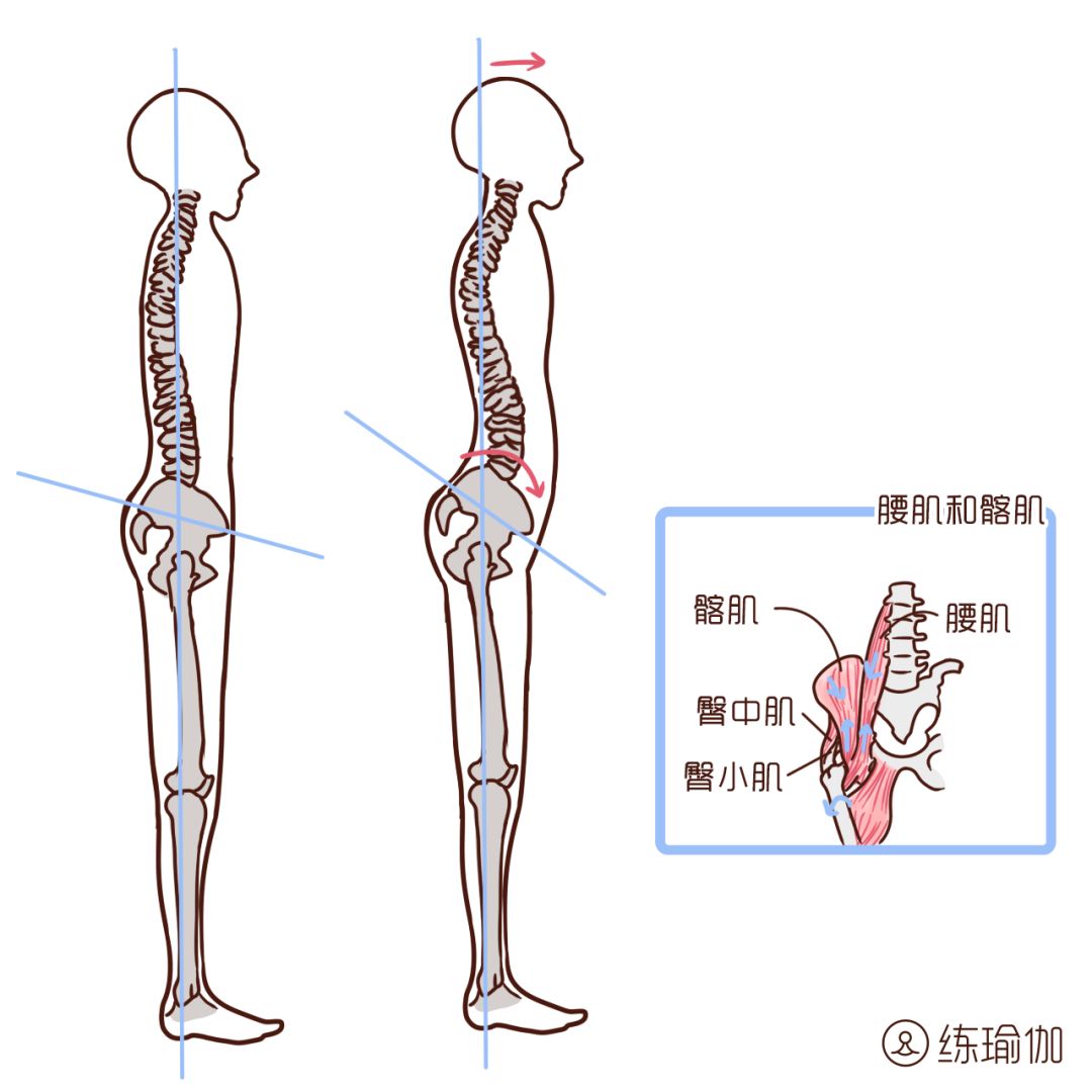 长时间塌腰坐着或者站着,对我们腰椎关节的压力可是很大的哟!