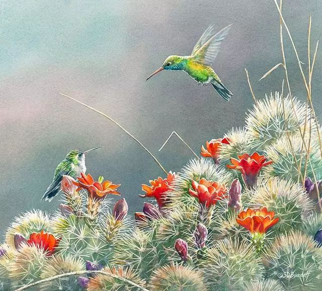 赏心悦目!一组充满着灵动与优雅的水彩花鸟画!
