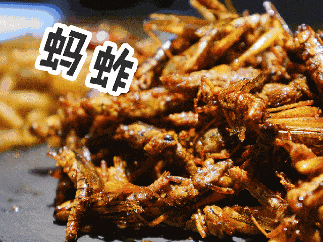 4ddc0511b56e46a882ea30501db77d60.gif